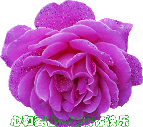 天堂纪念网