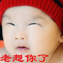 天堂公墓纪念网