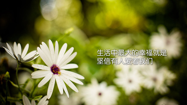 天堂纪念网