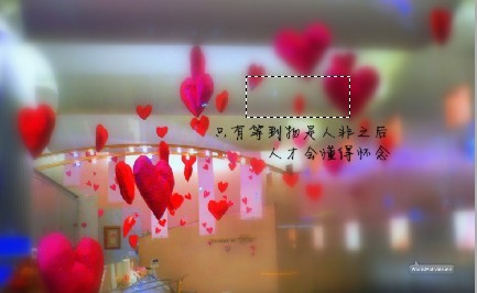 天堂纪念网