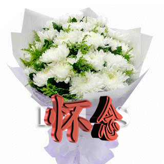 天堂纪念网