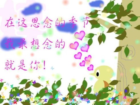 天堂纪念网