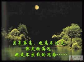天堂纪念网