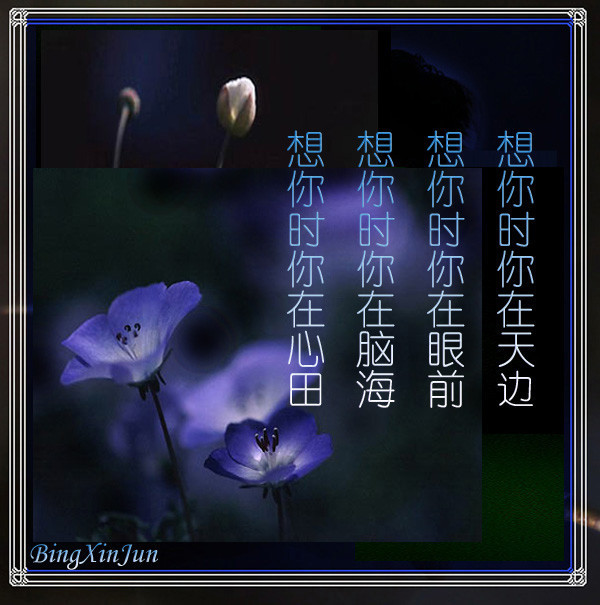 天堂公墓纪念网