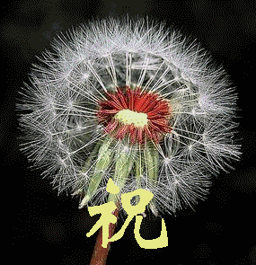 天堂公墓纪念网