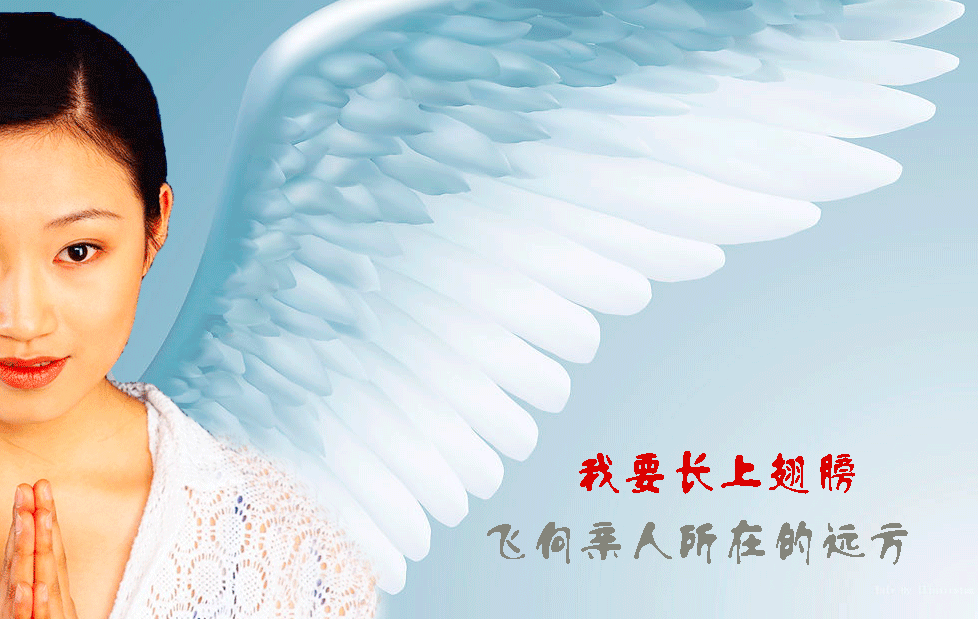 天堂公墓纪念网