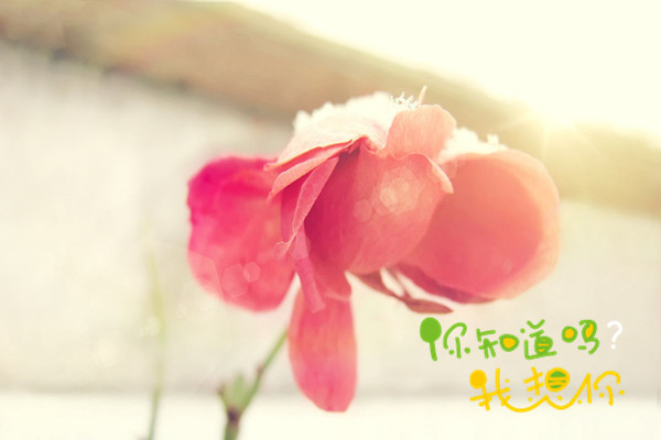天堂纪念网