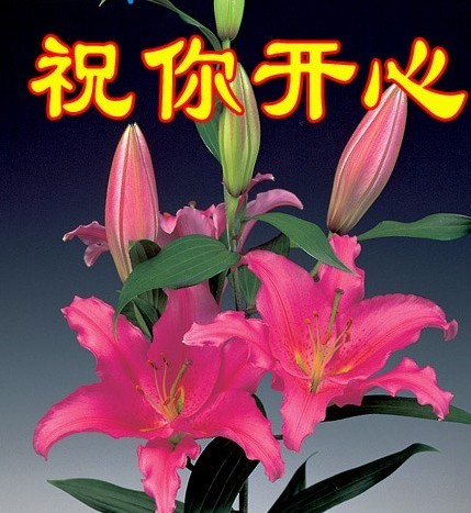 天堂公墓纪念网