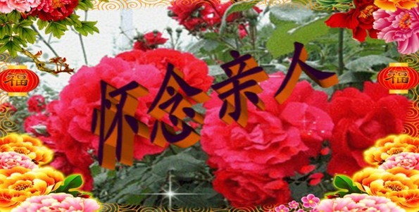 天堂纪念网