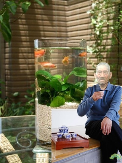 天堂纪念网