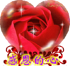 天堂纪念网