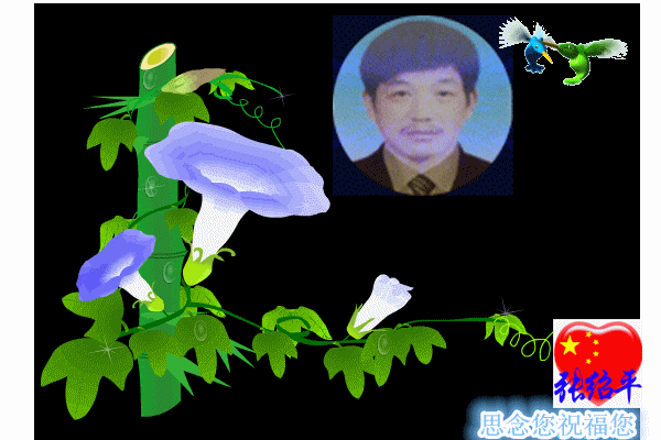 天堂纪念网