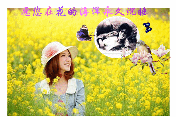 天堂纪念网