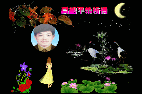 天堂纪念网