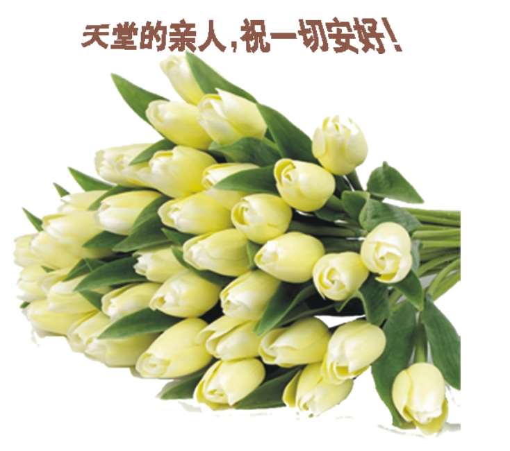 天堂纪念网
