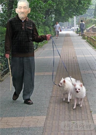 天堂纪念网