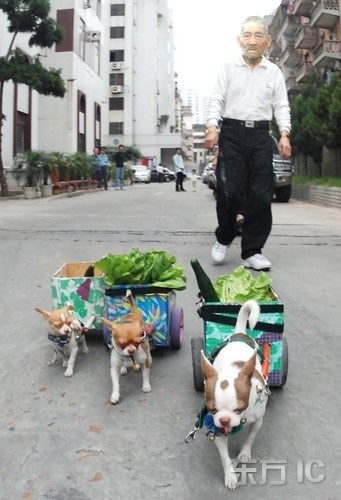 天堂纪念网