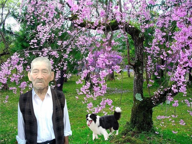 天堂纪念网