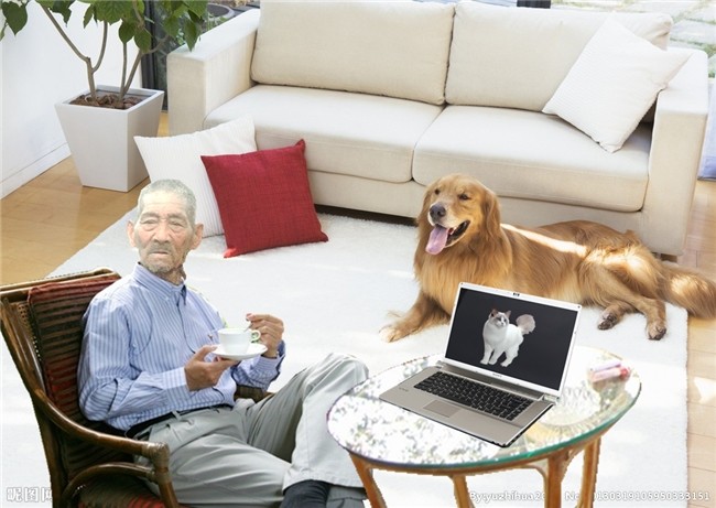 天堂纪念网