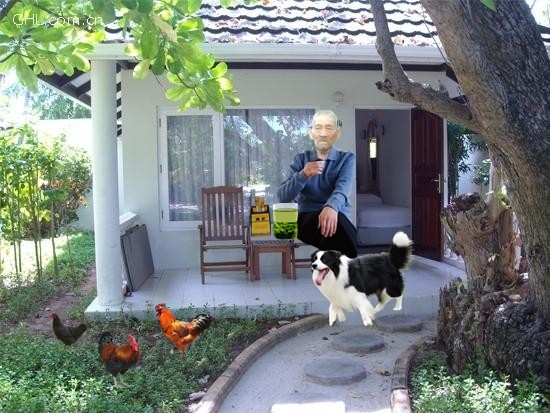 天堂纪念网