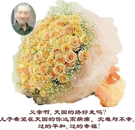 天堂纪念网