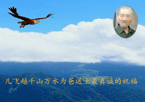 天堂纪念网