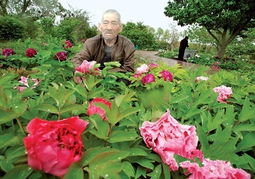 天堂纪念网