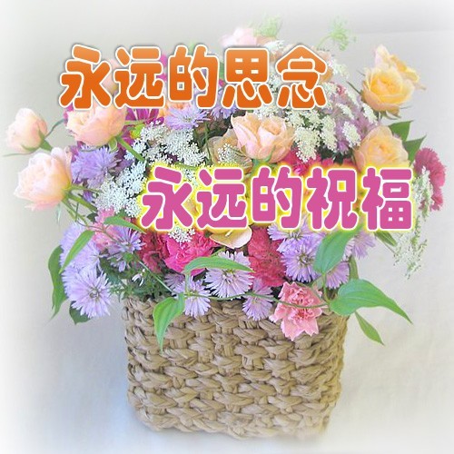 天堂纪念网