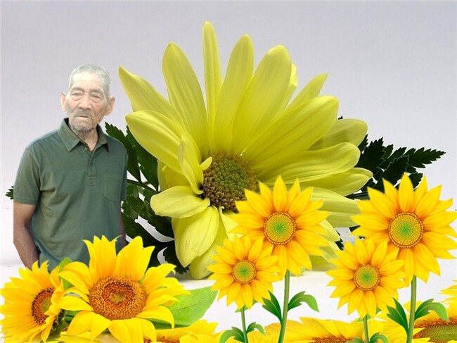 天堂纪念网