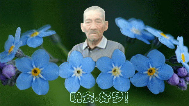 天堂纪念网