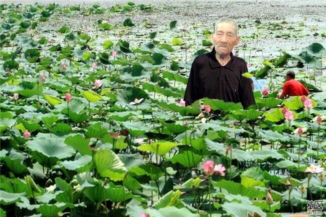 天堂纪念网