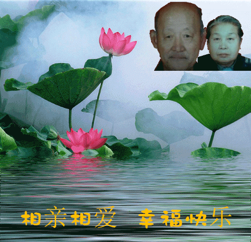 天堂纪念网