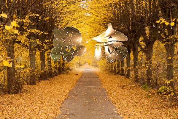 写信时间:2015/07/05 00:08:07  写信时间:2014/11/17 18:58:22