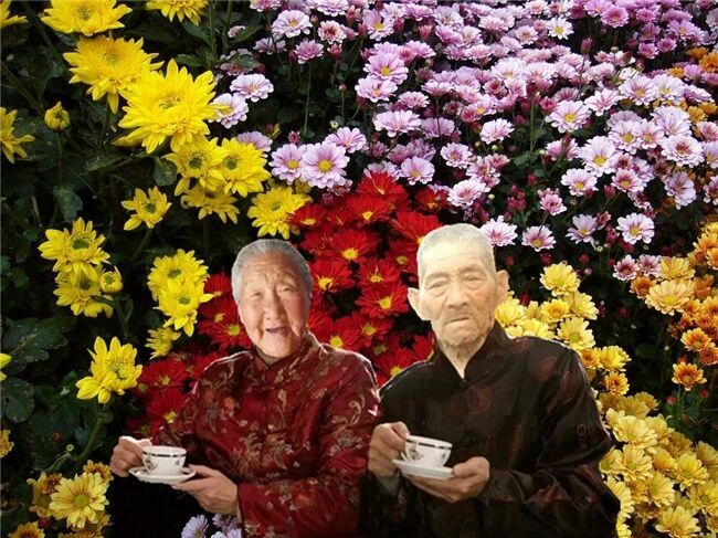 天堂纪念网