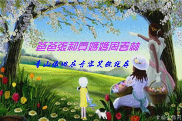 天堂纪念网