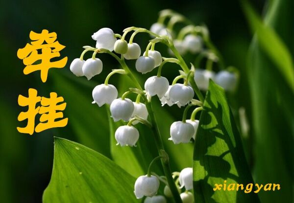 天堂纪念网