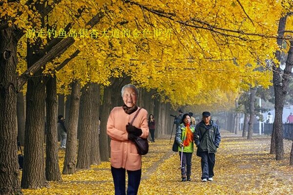 天堂纪念网