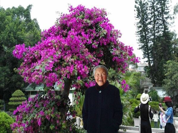 天堂纪念网