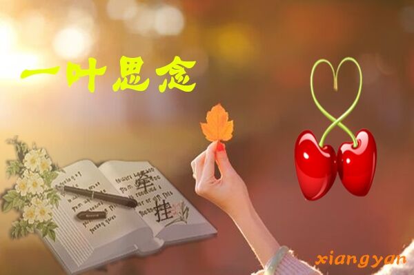 天堂纪念网