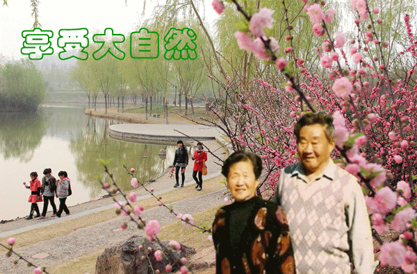 天堂纪念网