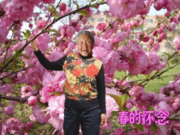 天堂纪念网