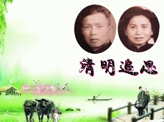 天堂纪念网