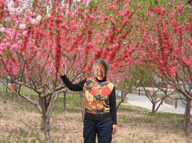 天堂纪念网