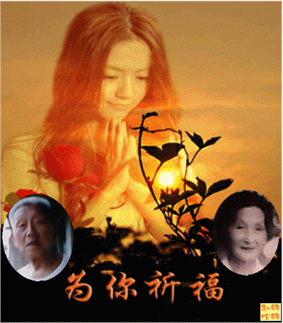 天堂纪念网