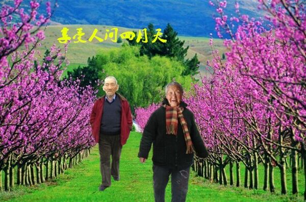 天堂纪念网