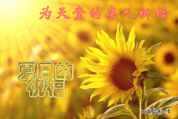 天堂纪念网