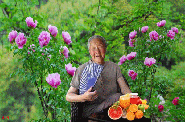 天堂纪念网