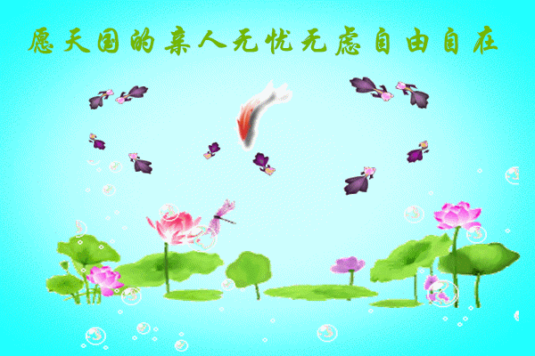天堂纪念网