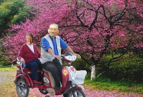 天堂纪念网
